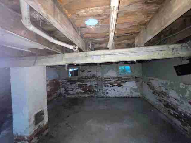 17257 bloom (48).jpg